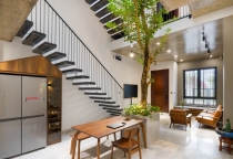 Tổng hợp 10 loại cây thân gỗ đẹp cho không gian nhà phố Tổng hợp 10 loại cây thân gỗ đẹp cho không gian nhà phố